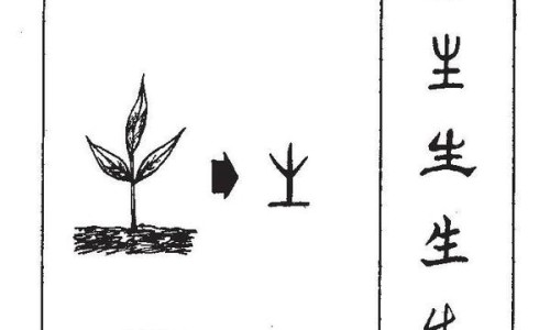 盐津百度百科-盐津姜的功效与作用是什么-盐津百度百科,中国盐津姜的功效与作用网站
