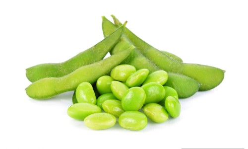 盐津菜是什么菜-盐津姜的功效与作用是什么-盐津百度百科,中国盐津姜的功效与作用网站