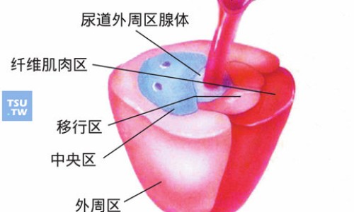 盐津姜的功效与作用是什么-盐津百度百科,中国盐津姜的功效与作用网站