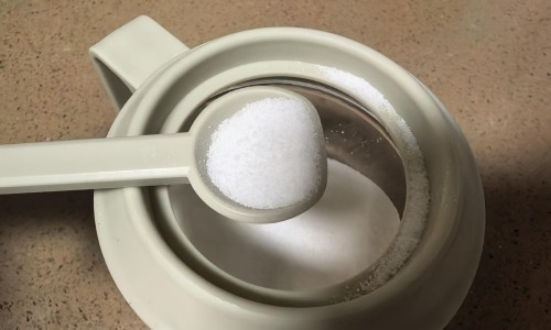 盐津姜的功效与作用是什么-盐津百度百科,中国盐津姜的功效与作用网站